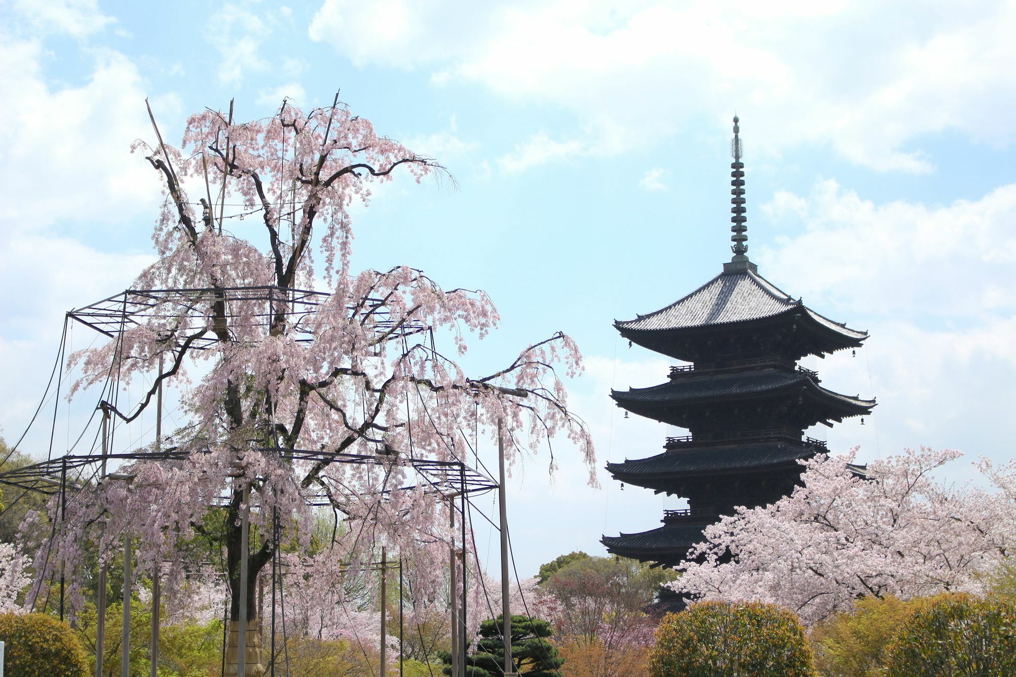 Stay Sakura Kyoto Toji South II Exterior photo